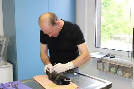 markusgreissing Markus Greissing