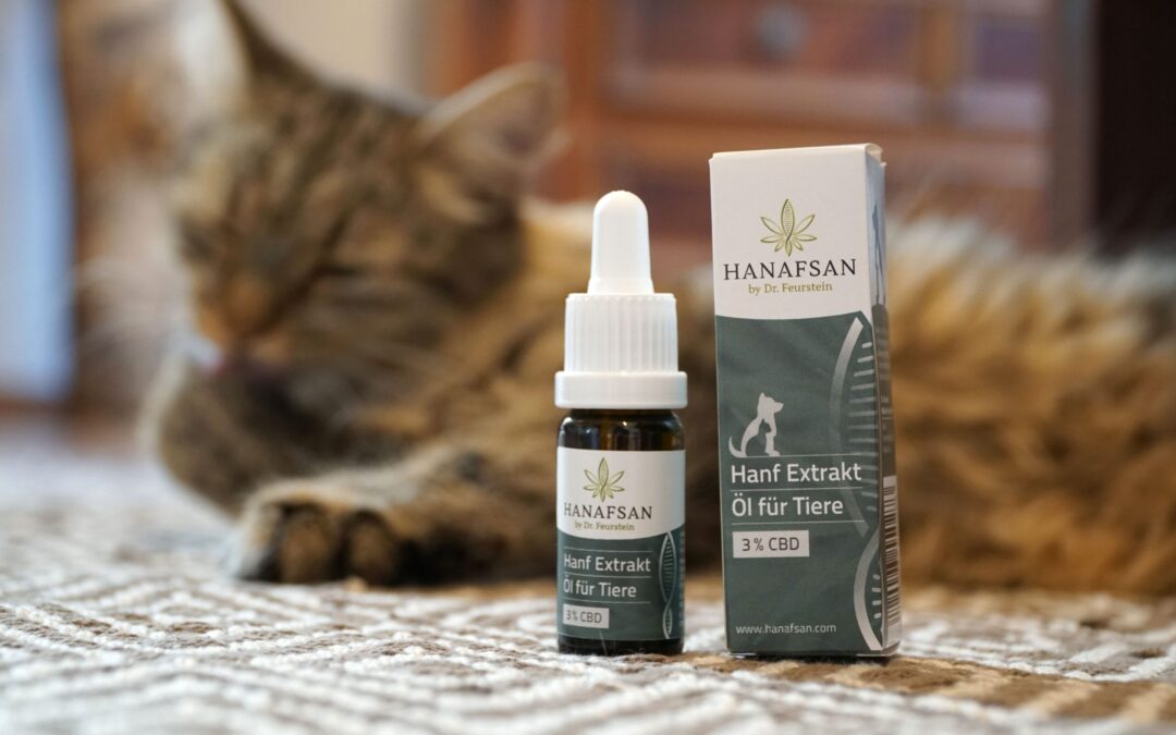 CBD Öle für unsere Tiere