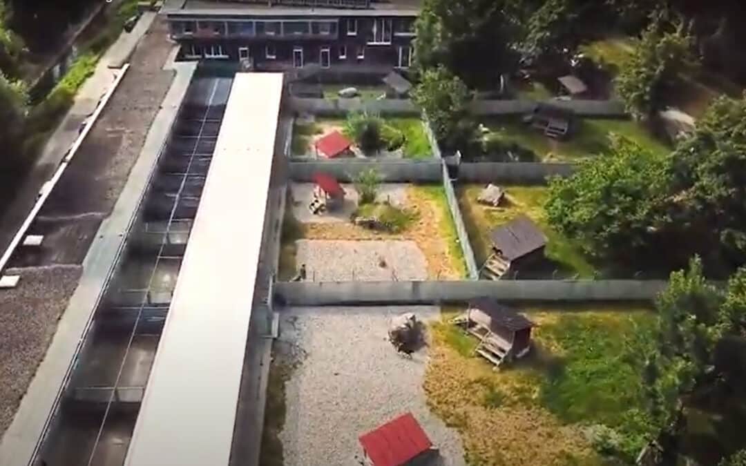 Führungen durch das Vorarlberger Tierschutzheim