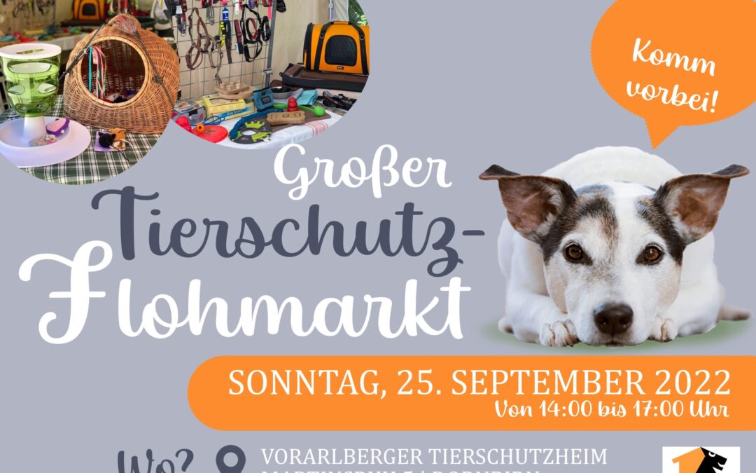 Tierschutz-Flohmarkt