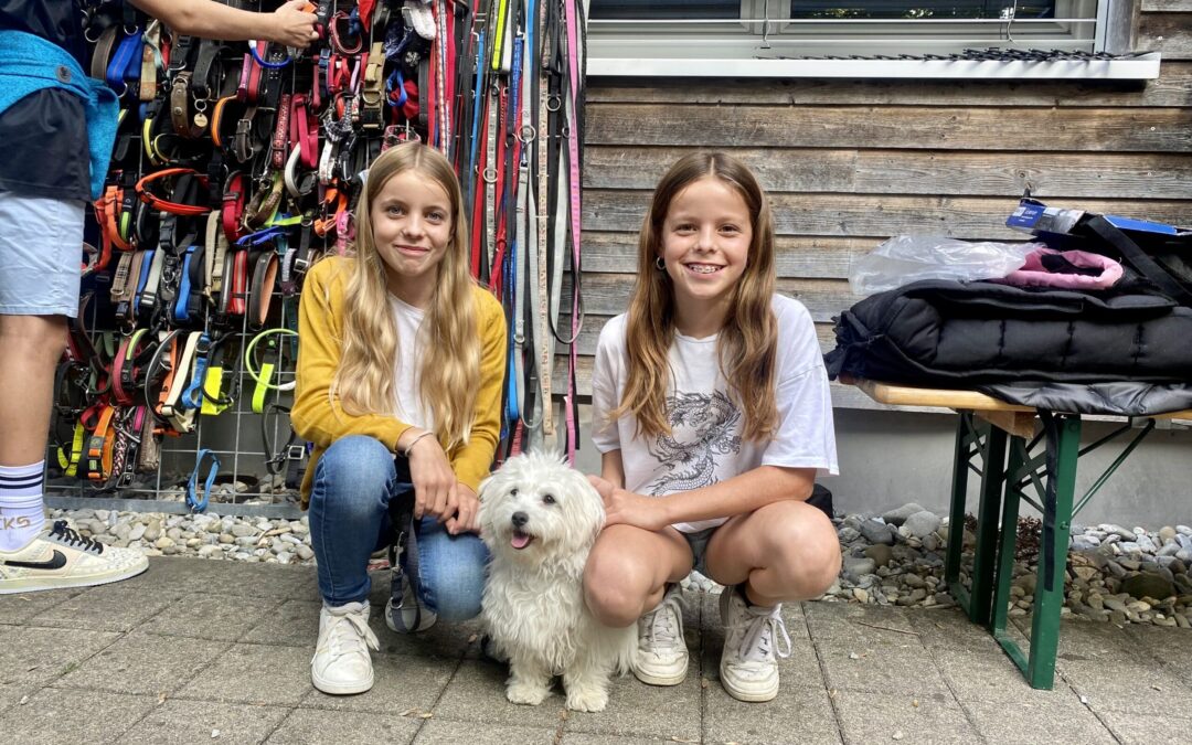 Tierschutz-Flohmarkt zum Welttierschutztag 2023