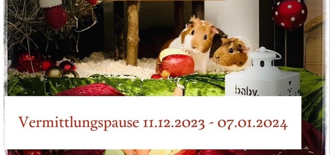 Vermittlungspause