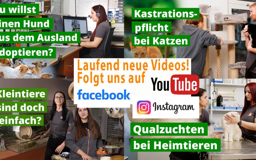 Folgt uns auf unseren Social-Media-Kanälen