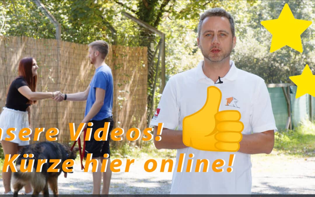 Tierische Videos auf unserer Homepage